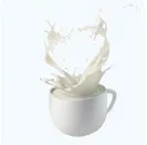 Milk