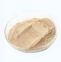 Notoginseng powder