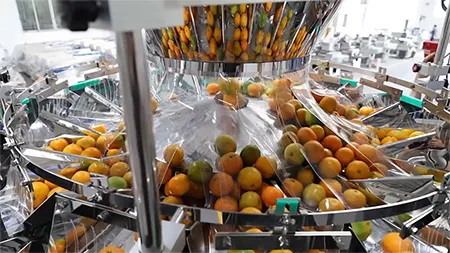 Fruit Packaging Machine